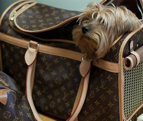 louis vuitton mascotas|louis vuitton dog bag canvas.